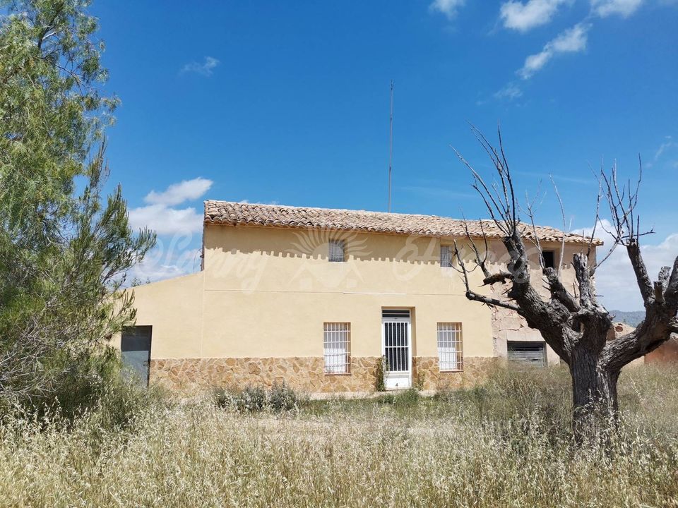 Landejendom i Yecla, Murcia - foto 3